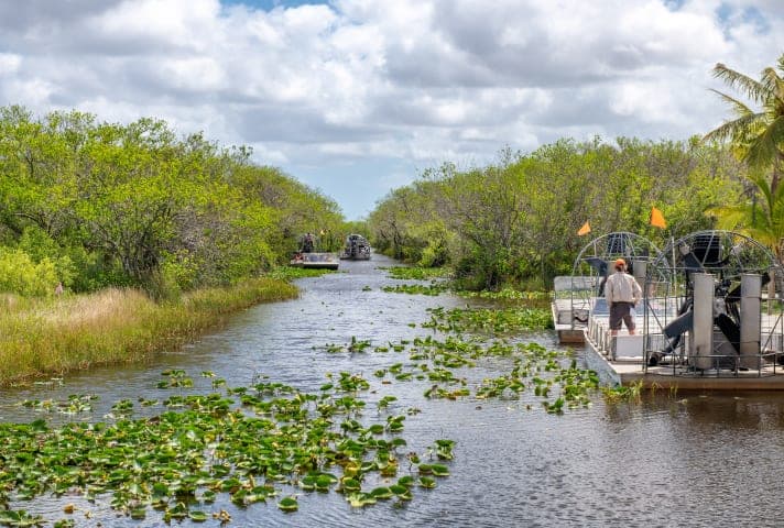 Everglades airboat tour and nature walk thumbnail
